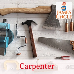 Carpenter Mr. Debasish Biswas in Rabindranagar